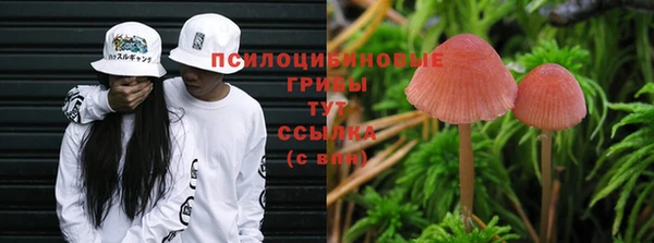 героин Вяземский