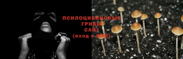 героин Вяземский