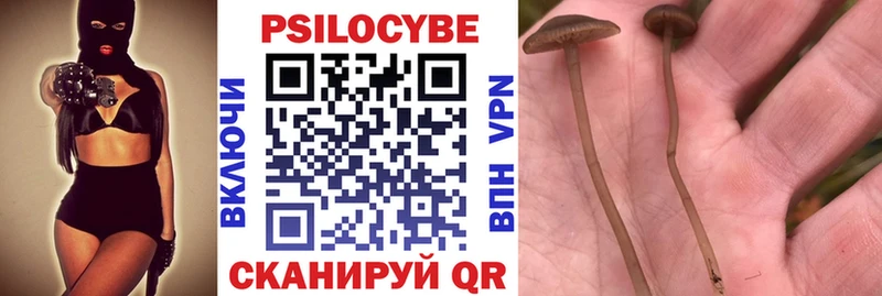 mega ссылка  Орехово-Зуево  Псилоцибиновые грибы Magic Shrooms 